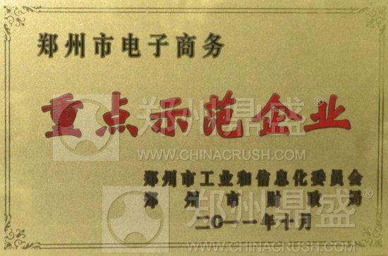 郑州鼎盛获2010年度电子商务示范企业