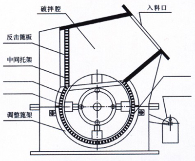 豸